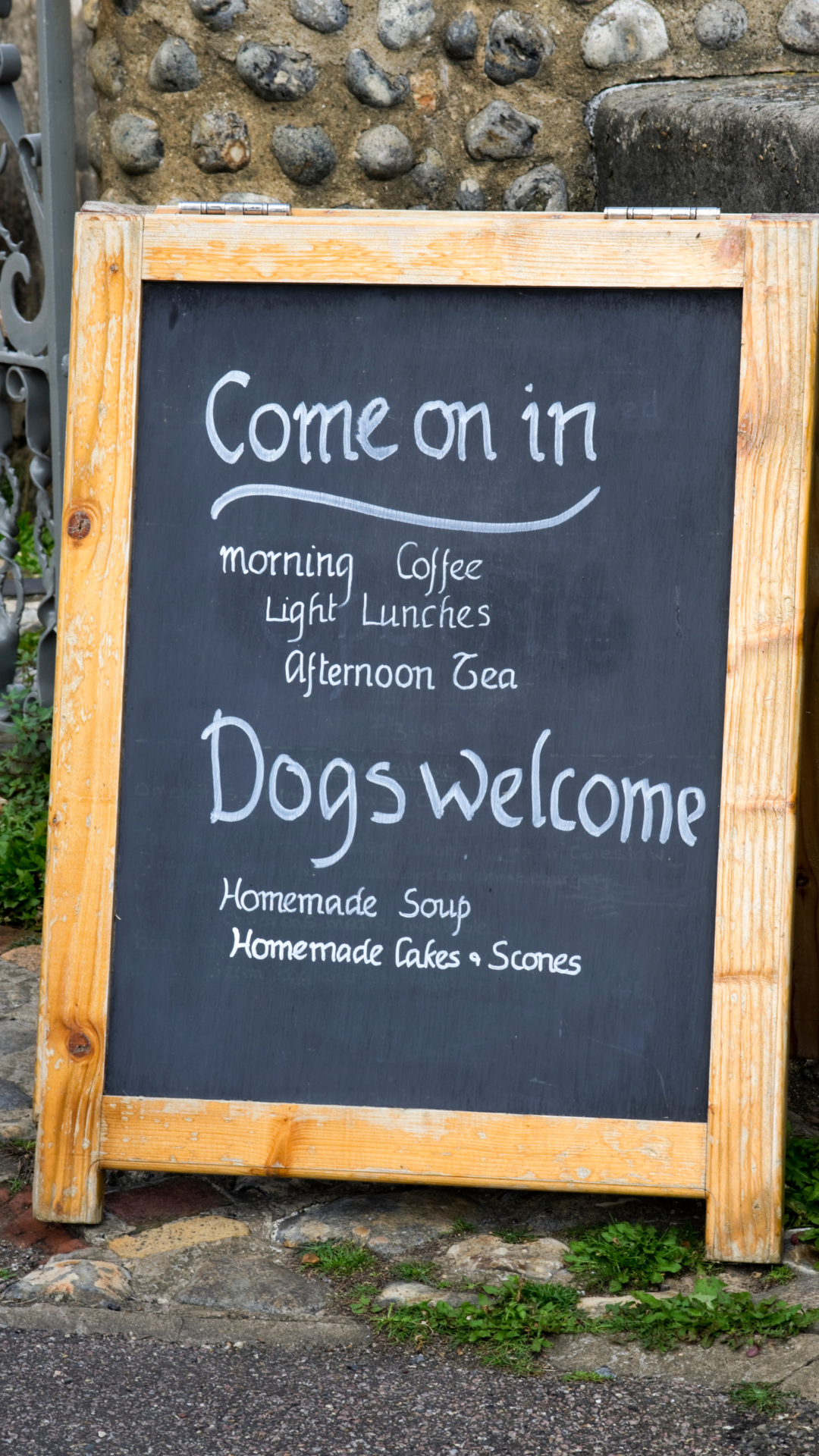 pet-friendly eateries blog image